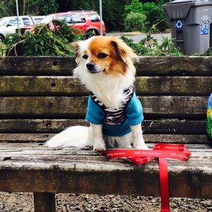 Meet your Posher, La